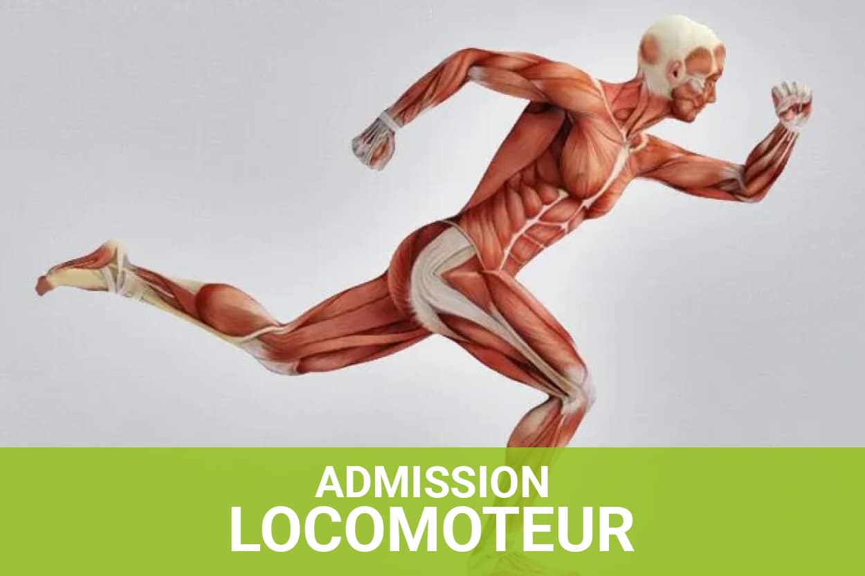 Locomoteur